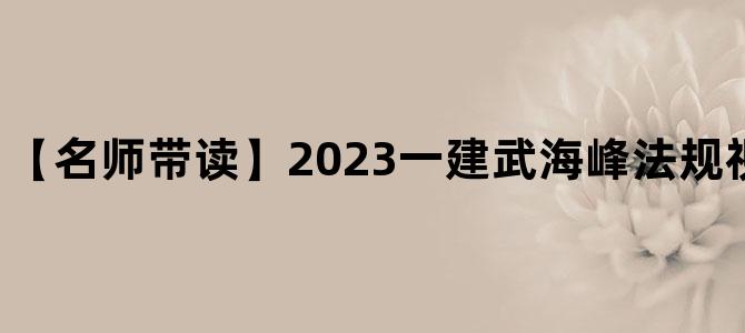 '【名师带读】2023一建武海峰法规视频课件网盘下载'