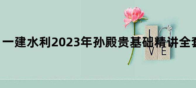 '一建水利2023年孙殿贵基础精讲全套视频【共44讲】'