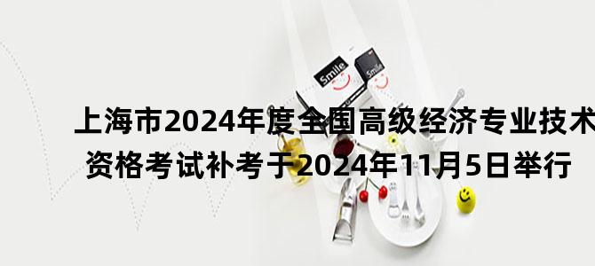 '上海市2024年度全国高级经济专业技术资格考试补考于2024年11月5日举行'