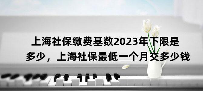 '上海社保缴费基数2023年下限是多少，上海社保最低一个月交多少钱'