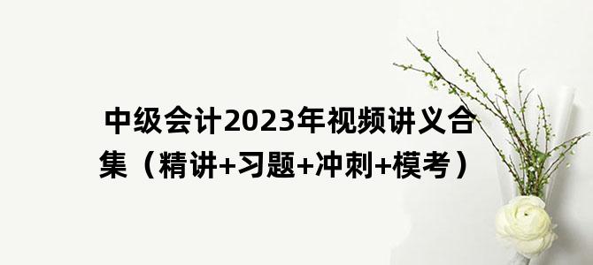 '中级会计2023年视频讲义合集（精讲+习题+冲刺+模考）'