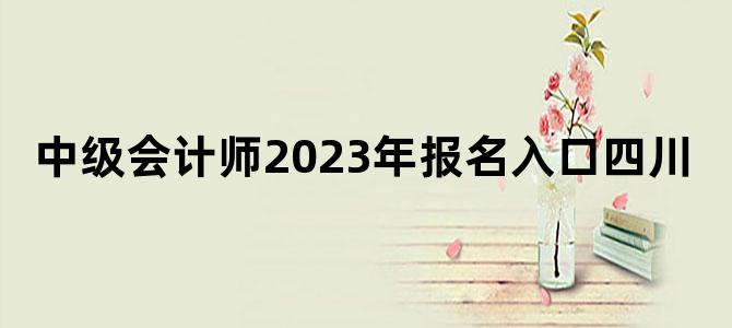 '中级会计师2023年报名入口四川'