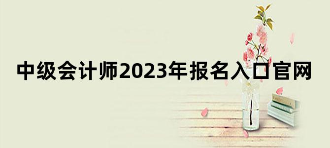 '中级会计师2023年报名入口官网'