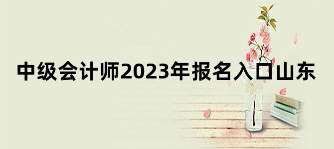 '中级会计师2023年报名入口山东'