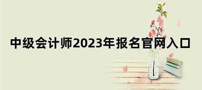 '中级会计师2023年报名官网入口'