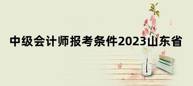 '中级会计师报考条件2023山东省'