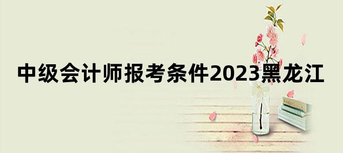 '中级会计师报考条件2023黑龙江'