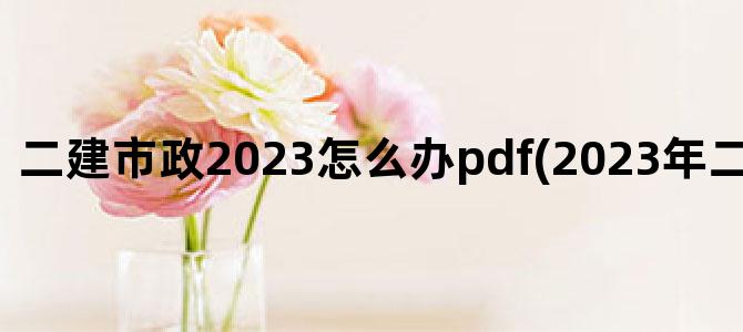'二建市政2023怎么办pdf(2023年二建市政视频)'