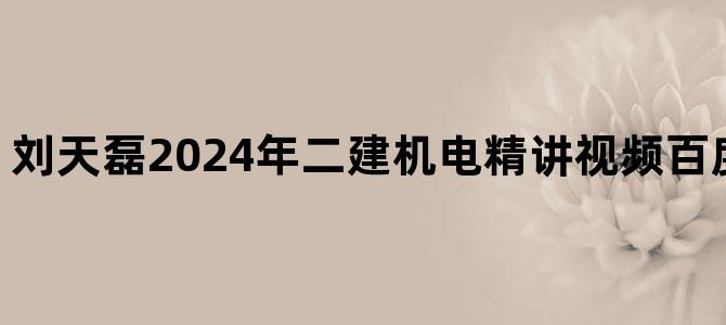 '刘天磊2024年二建机电精讲视频百度云【共22讲】'