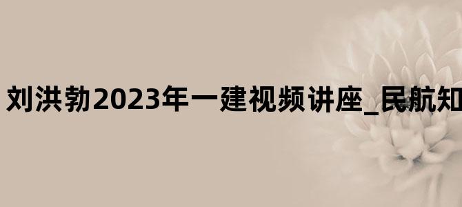 '刘洪勃2023年一建视频讲座_民航知识精讲视频讲义'