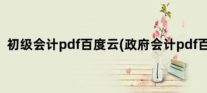 '初级会计pdf百度云(政府会计pdf百度云)'
