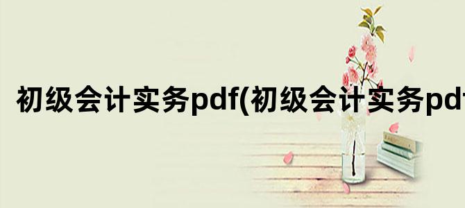 '初级会计实务pdf(初级会计实务pdf微盘)'