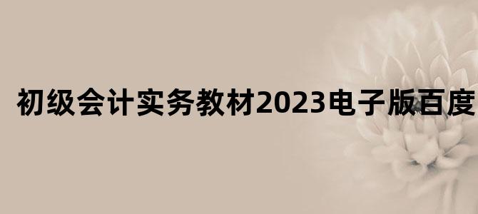 '初级会计实务教材2023电子版百度网盘'