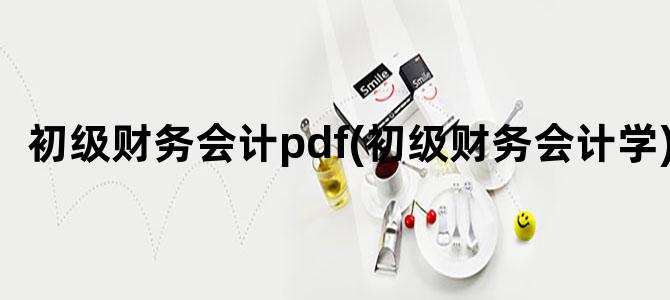 '初级财务会计pdf(初级财务会计学)'