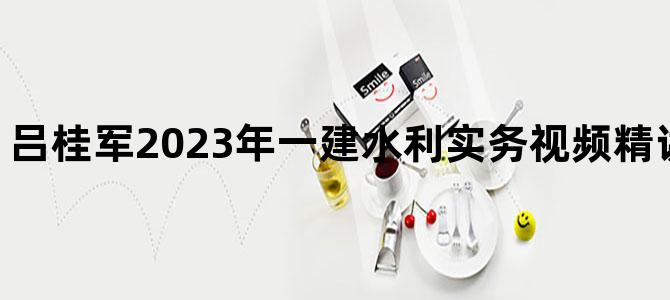 '吕桂军2023年一建水利实务视频精讲班讲义完整版'