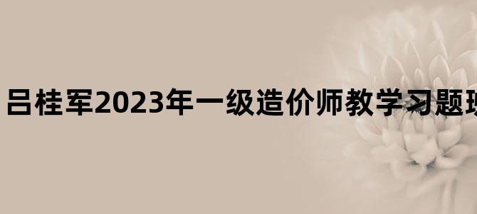 '吕桂军2023年一级造价师教学习题班视频完整版下载'