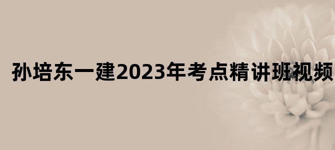 '孙培东一建2023年考点精讲班视频课件'
