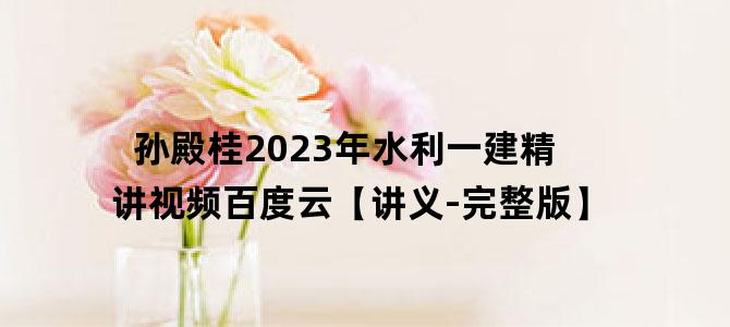 '孙殿桂2023年水利一建精讲视频百度云【讲义-完整版】'