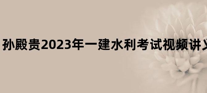 '孙殿贵2023年一建水利考试视频讲义【基础夯实班】'