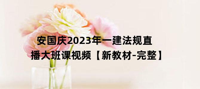 '安国庆2023年一建法规直播大班课视频【新教材-完整】'