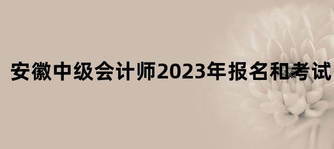 '安徽中级会计师2023年报名和考试时间表'