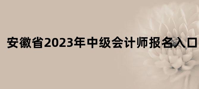 '安徽省2023年中级会计师报名入口官网'