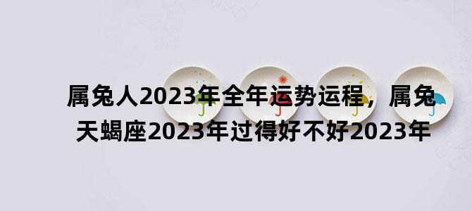 '属兔人2023年全年运势运程，属兔天蝎座2023年过得好不好2023年'