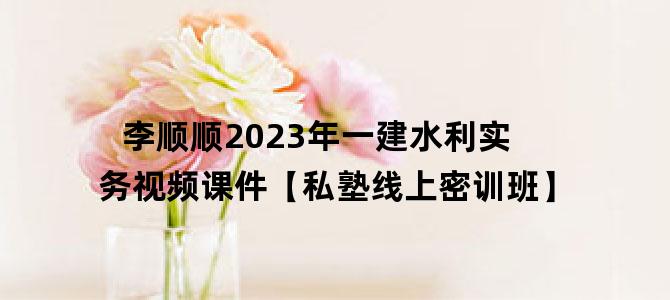 '李顺顺2023年一建水利实务视频课件【私塾线上密训班】'