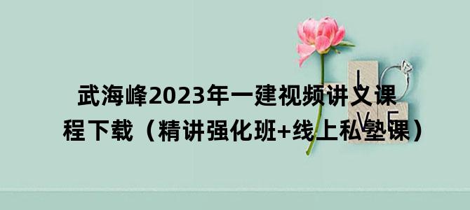 '武海峰2023年一建视频讲义课程下载（精讲强化班+线上私塾课）'