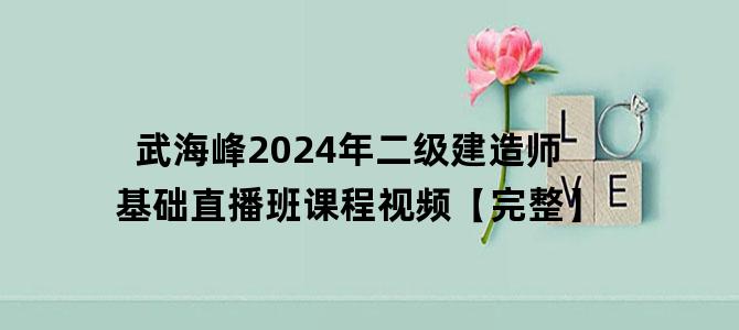 '武海峰2024年二级建造师基础直播班课程视频【完整】'
