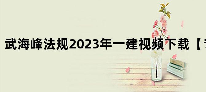 '武海峰法规2023年一建视频下载【专项突破】'
