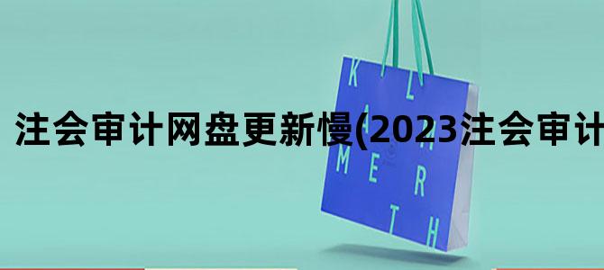 '注会审计网盘更新慢(2023注会审计百度网盘)'