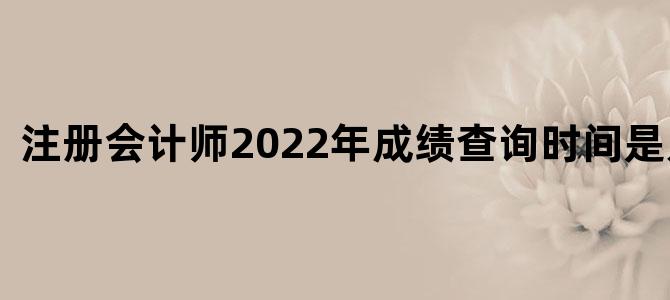 '注册会计师2022年成绩查询时间是几号？'