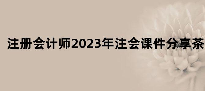 '注册会计师2023年注会课件分享茶狐狸'