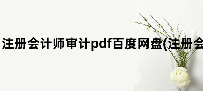 '注册会计师审计pdf百度网盘(注册会计师审计实务pdf)'