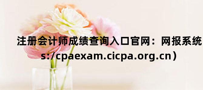 '注册会计师成绩查询入口官网：网报系统（https://cpaexam.cicpa.org.cn）'