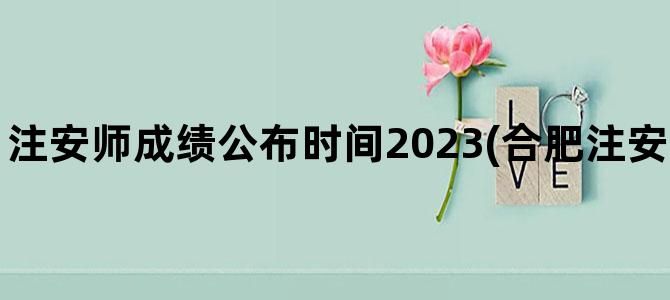'注安师成绩公布时间2023(合肥注安师成绩公布了吗)'