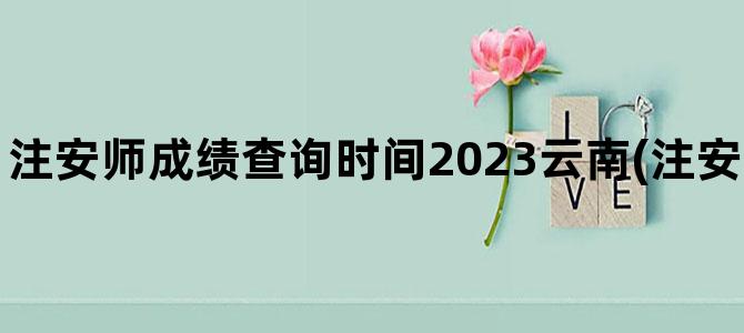 '注安师成绩查询时间2023云南(注安师成绩查询网站)'