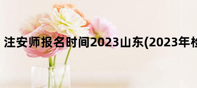 '注安师报名时间2023山东(2023年检验师报名时间)'