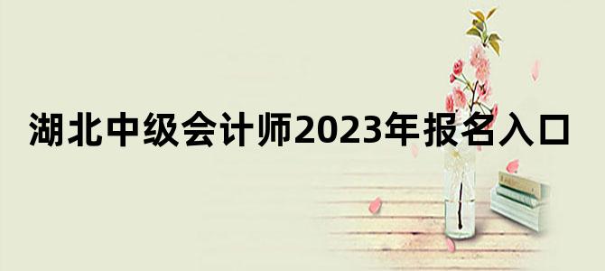 '湖北中级会计师2023年报名入口'
