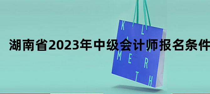 '湖南省2023年中级会计师报名条件'
