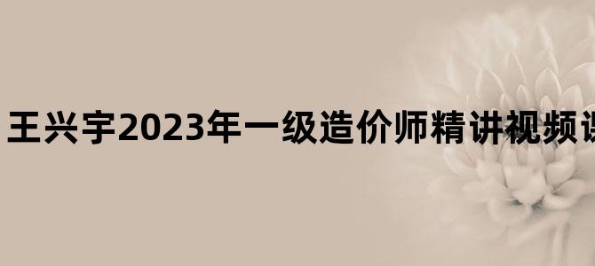 '王兴宇2023年一级造价师精讲视频课件下载【完整】'