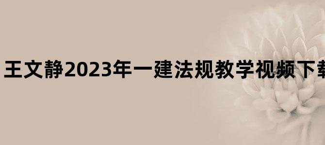 '王文静2023年一建法规教学视频下载【基础直播班】'