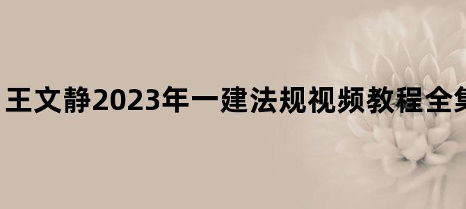 '王文静2023年一建法规视频教程全集【基础直播班】'
