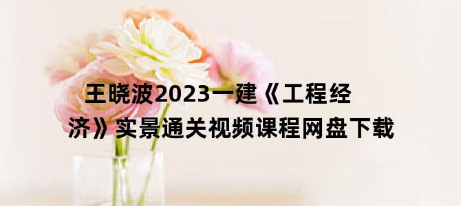'王晓波2023一建《工程经济》实景通关视频课程网盘下载'
