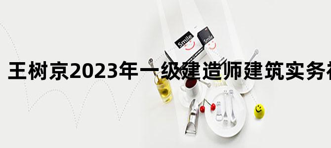 '王树京2023年一级建造师建筑实务视频讲义pdf'