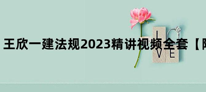 '王欣一建法规2023精讲视频全套【附讲义-共30讲】'