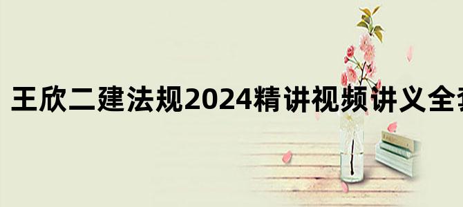 '王欣二建法规2024精讲视频讲义全套【完整】'