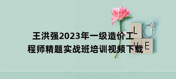 '王洪强2023年一级造价工程师精题实战班培训视频下载'
