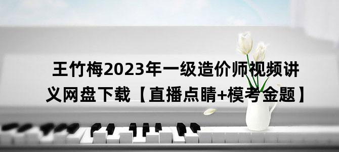 '王竹梅2023年一级造价师视频讲义网盘下载【直播点睛+模考金题】'